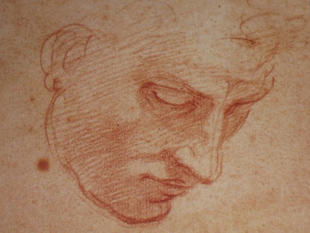 Study of a man's face for the Flood in the Sistine ceiling, Michelangelo Buonarroti (1475-1564)