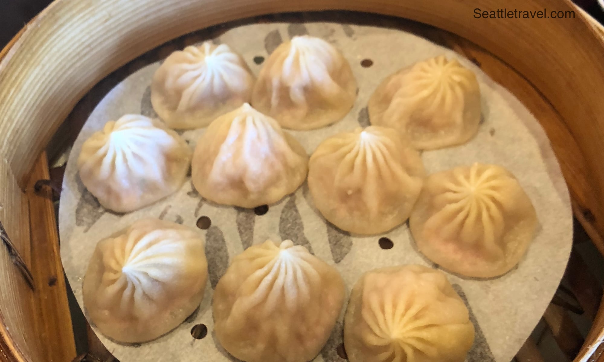 Doug Zone Dumplings 