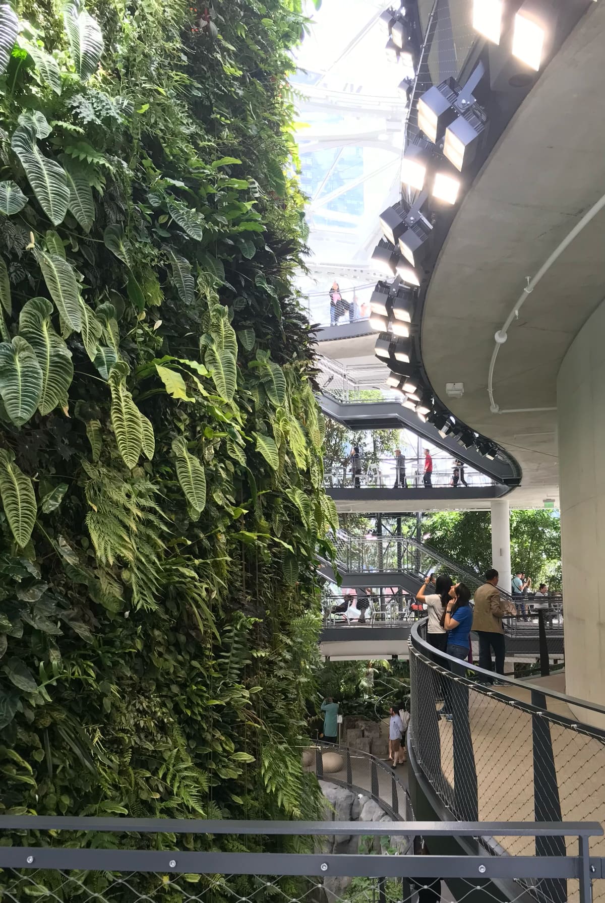 Amazon Living Wall 