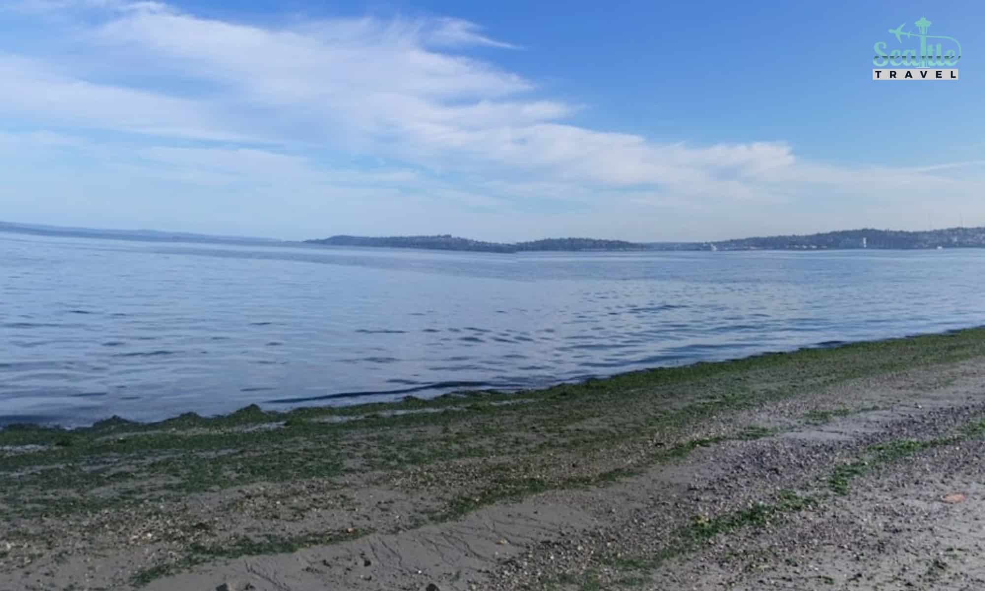 Alki Beach View