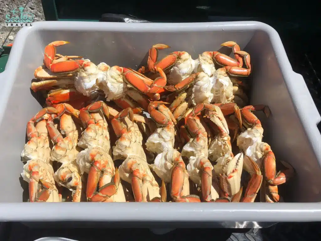 Dungeness Crabs from Seattle