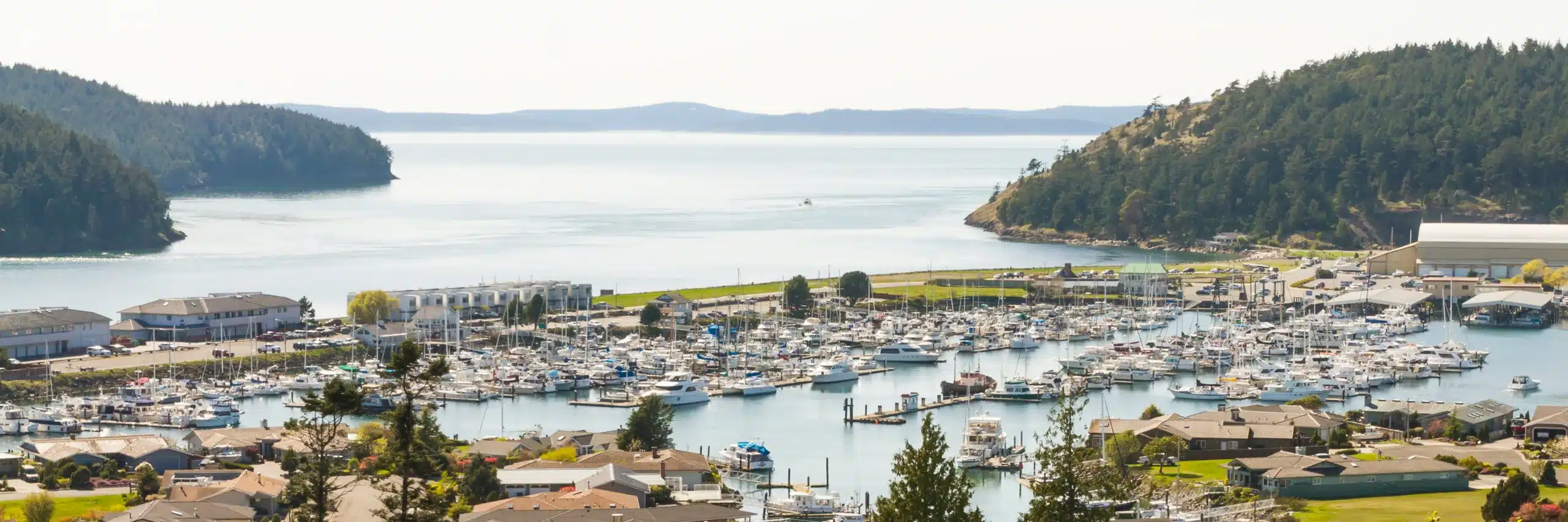 14 Things to Do in Anacortes from Hiking and Paddling to Whale Watching and Great Eats