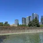 Bellevue Skyline from Downtown Park