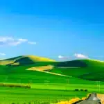 Blue Mountains near Walla Walla, WA