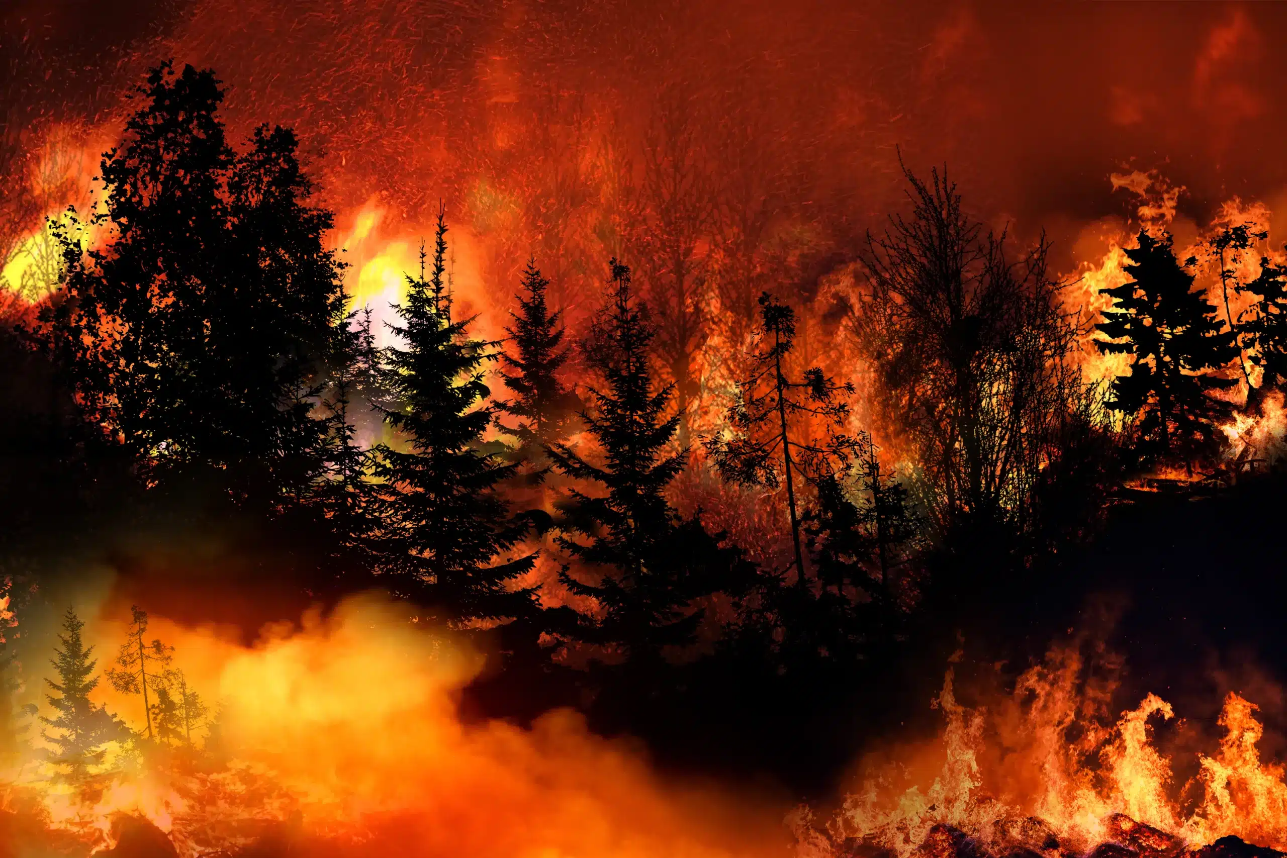Watch a Washington State Sherrif Blast Through a Wildfire in a Harrowing Escape
