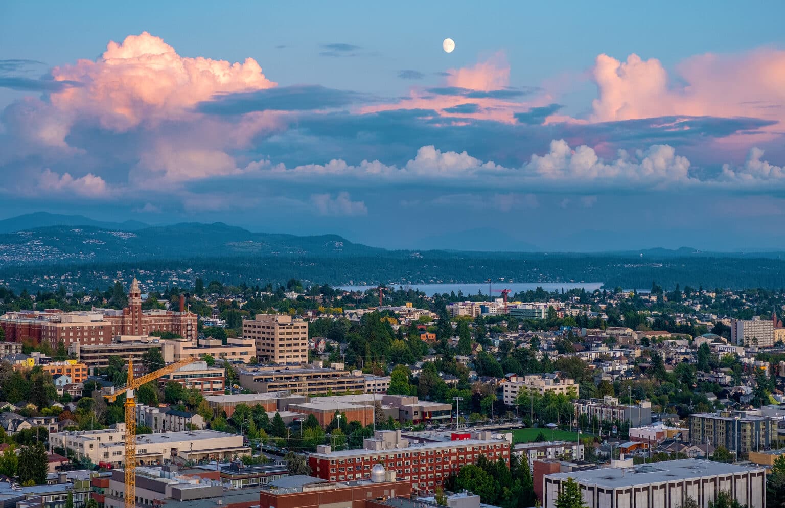 15 Best Capitol Hill Restaurants - Seattle Travel