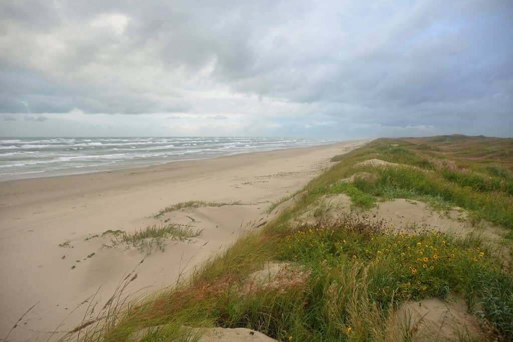 Padre Island National Seashore, beach, Kleberg Co, TX; 1 Nov 2022