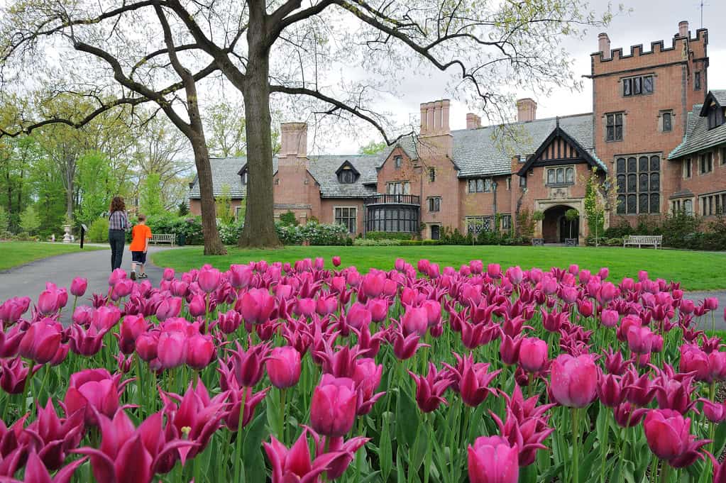 Stan Hywet Hall and Gardens in Akron