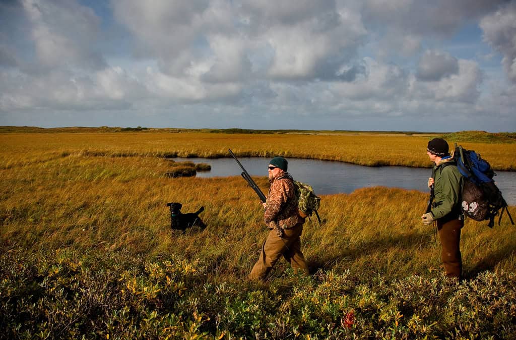 Duck Hunting
