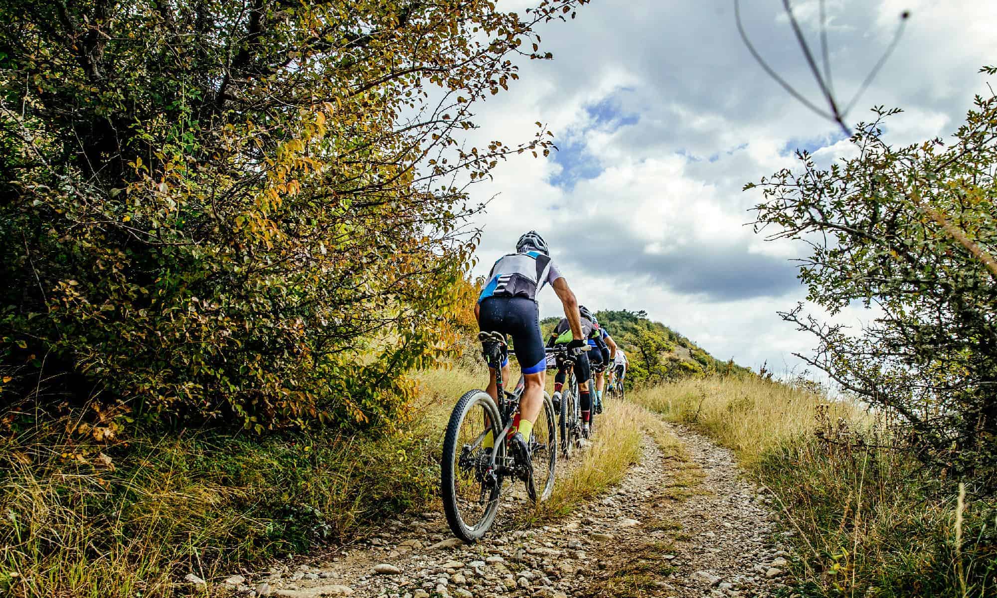 Washington Just Opened 14 Miles of New Mountain Bike Trails Near Ellensburg