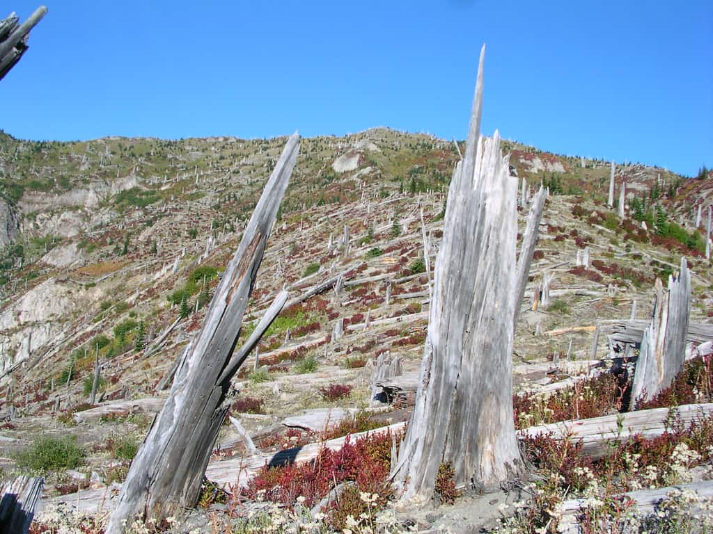 18 Natural Disasters Left Lasting Scars on the Pacific Northwest