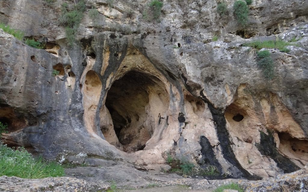 Mt. Carmel Nature Reserve, and Skhul Cave, is an archaeological-prehistoric site from the Mousterian culture of the Middle Paleolithic period in western Carmel. It features a small cave and a natural terrace at its entrance. Located south of the city of Haifa, Israel.