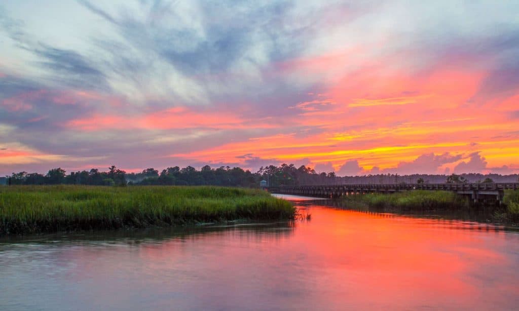 Georgia - US State, Savannah River, Savannah - Georgia, Landscape - Scenery, Marsh