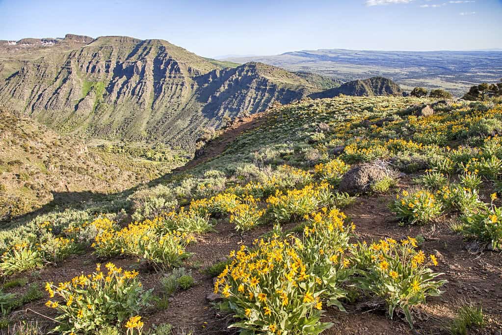 #conservationlands15 Social Media Takeover, Sept 15th, Steens Mountain Wilderness in Oregon