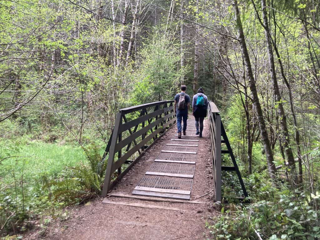 Two hikers in Capitol State Forest