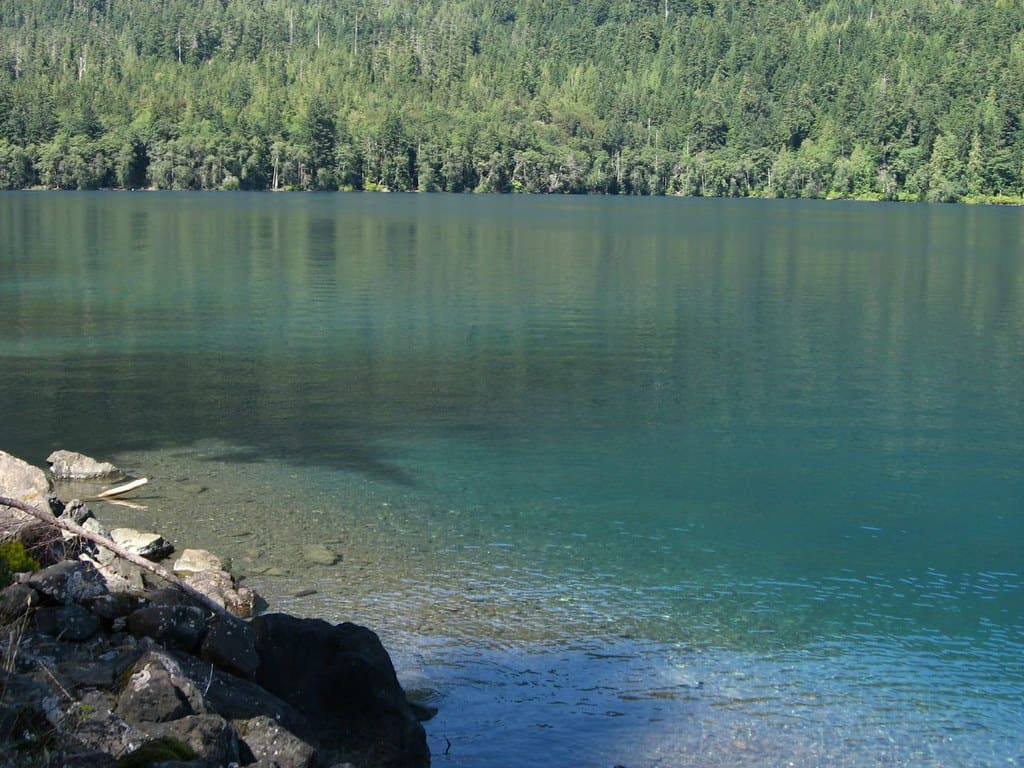 Lake Crescent, Olympic National Park, Washington