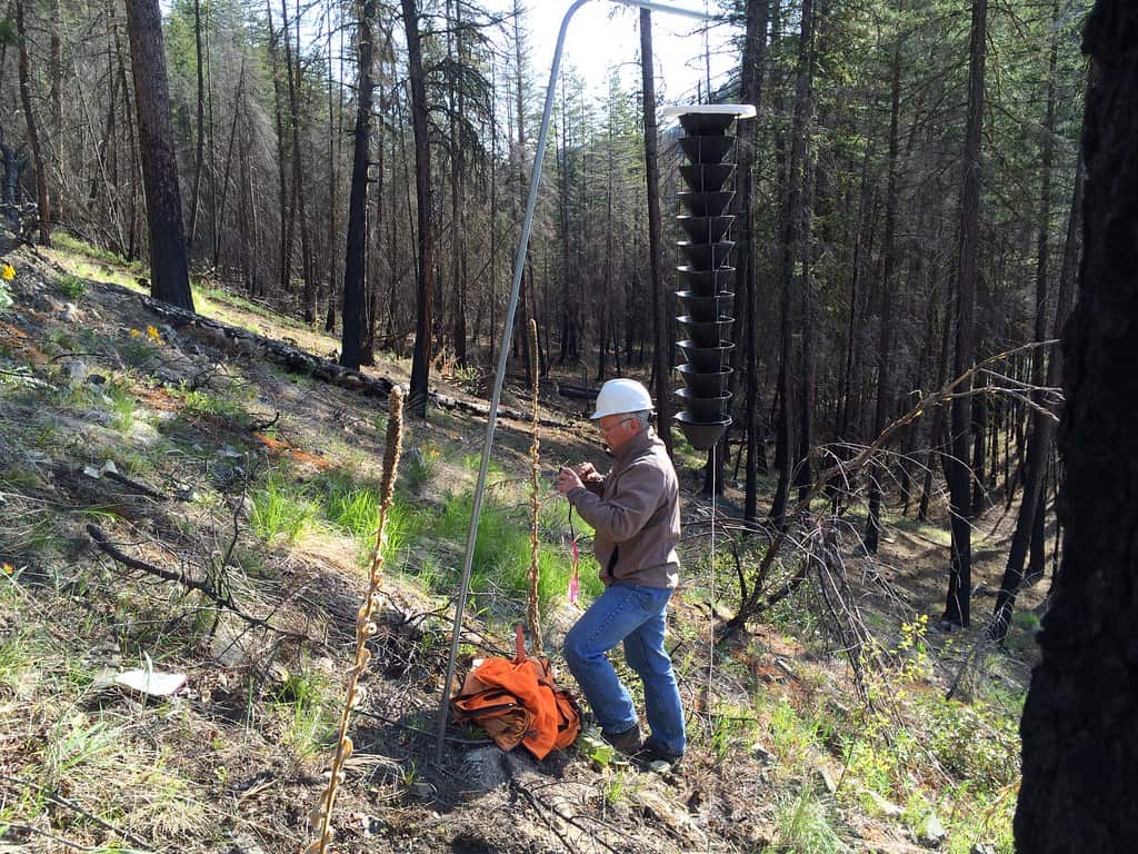 2015. Roy Magelssen setting up a Douglas-fir beetle monitoring trap at Gold Creek on the Methow Valley Ranger District. Okanogan-Wenatchee National Forest, Washington.