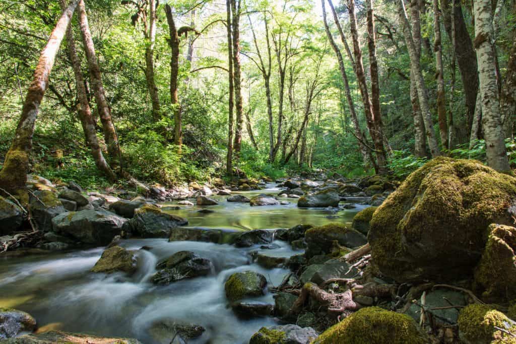Rogue River Trail - 51235037475