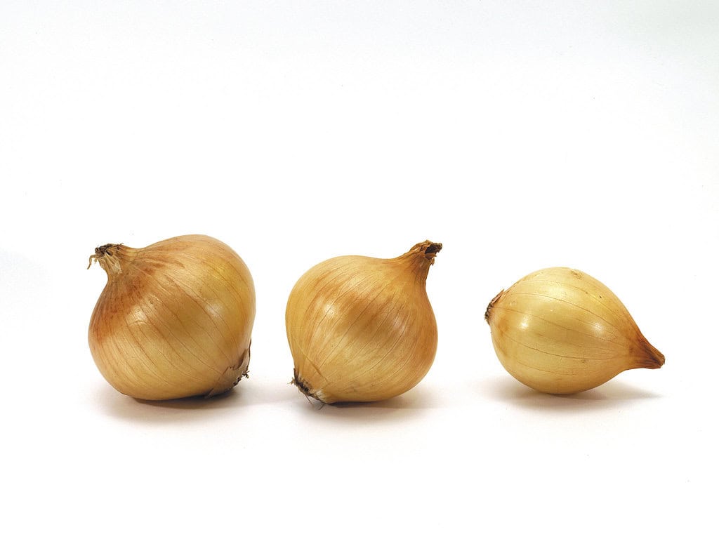 Onion_8174068