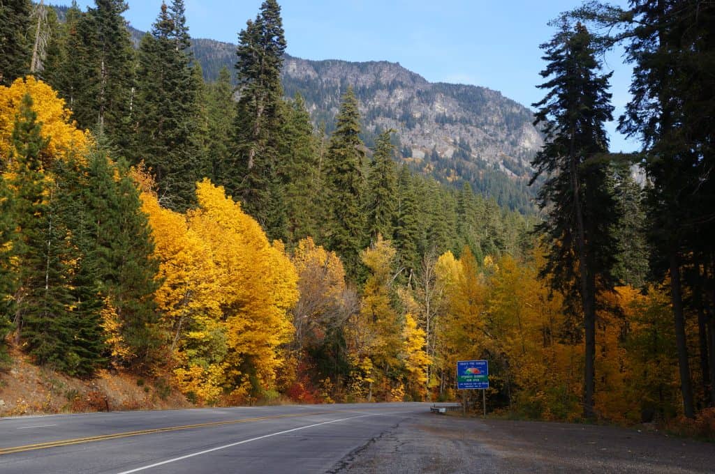 Fall colors on US Highway 2 near Stevens Pass, WA - 03