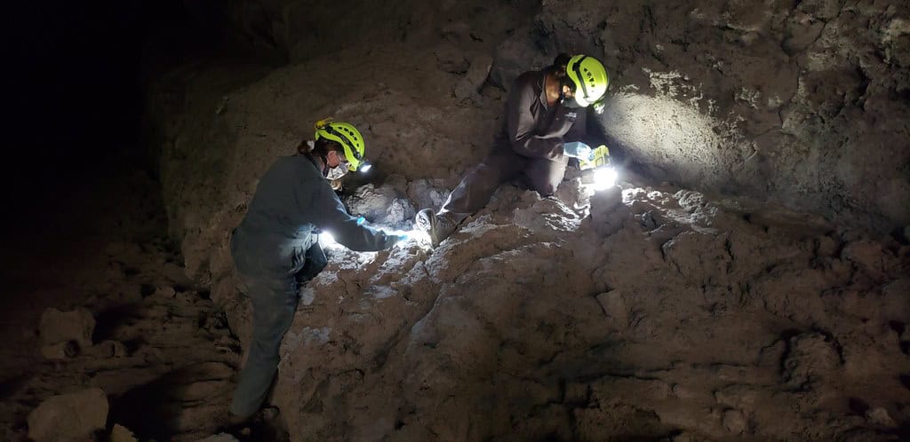 Searching for bat guano in Oregon caves