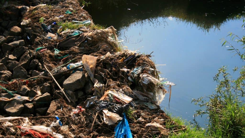 Swim at Your Own Risk: 10 American Lakes With Serious Pollution Problems