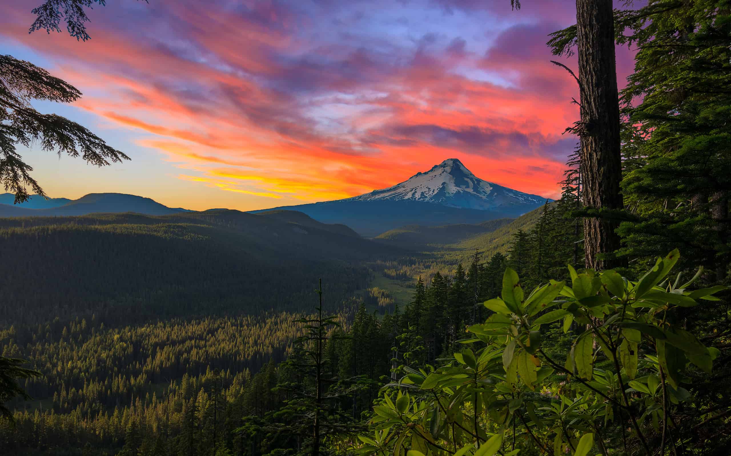 10 Pacific Northwest Road Trips Worth Taking Through Washington and Oregon