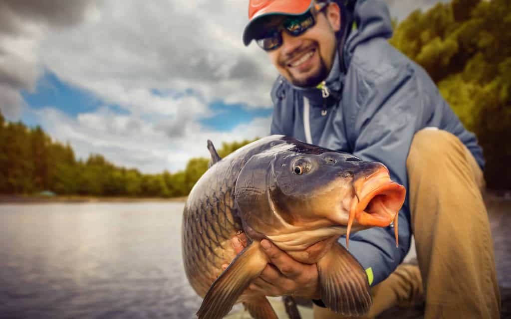 10 Monster Fish Pulled From Pacific Northwest Waters