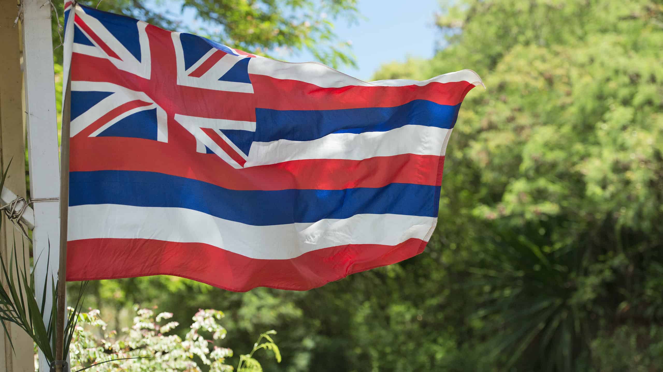 Flag of Hawaii waving