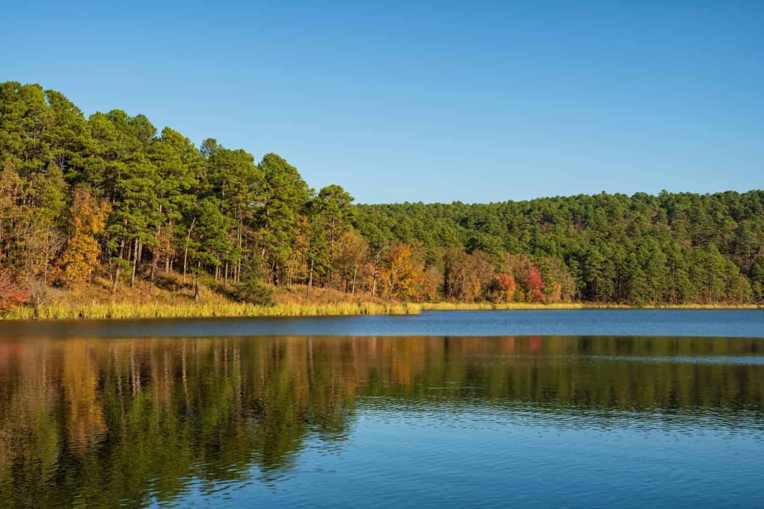 Fall colors reflecting on Cedar Lake in southeast Oklahoma against blue November sky