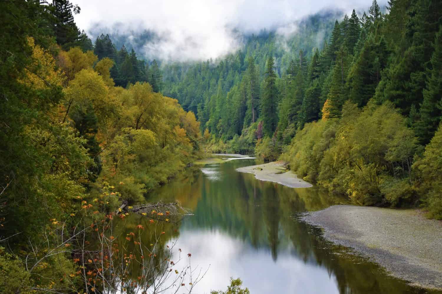 Fall colors reflect off a calm and cool South Fork Eel River within the evergreen redwood forest of Humboldt Redwoods State Park along Avenue of the Giants just north of Weott, California.