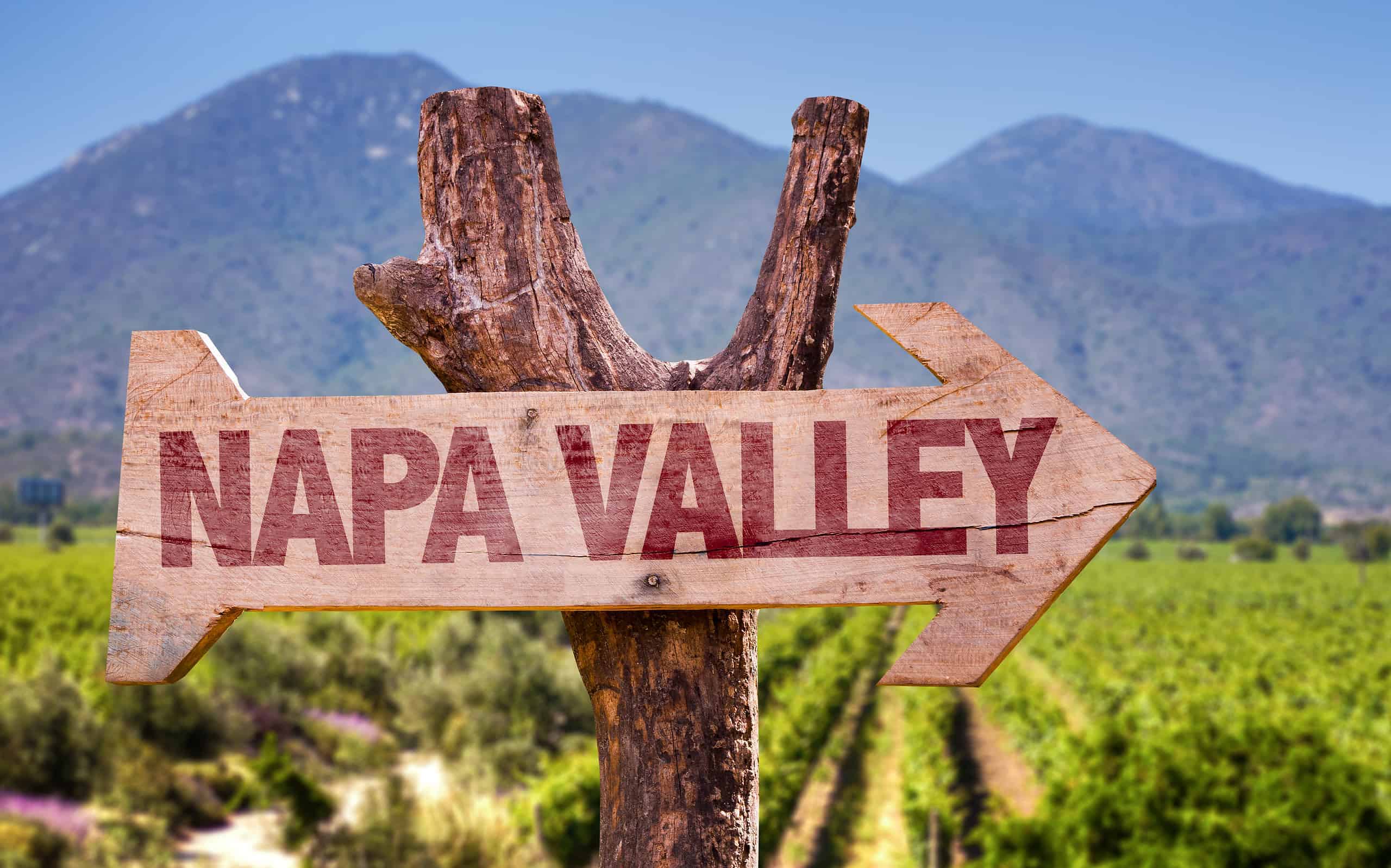 5 Napa Valley Dishes That Define California Wine Country