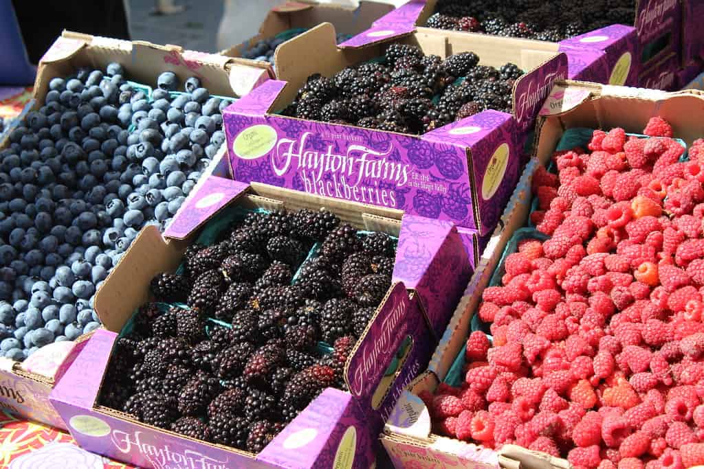 12 Best Farmers Markets in the Pacific Northwest You Need to Visit