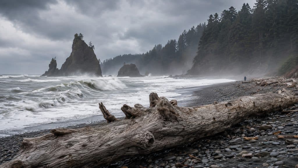 The Most Dangerous Beaches in the Pacific Northwest