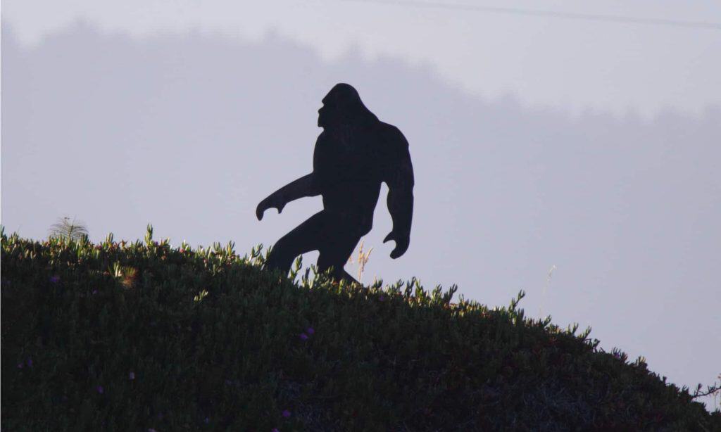 The Washington County That Made Killing Bigfoot a Crime