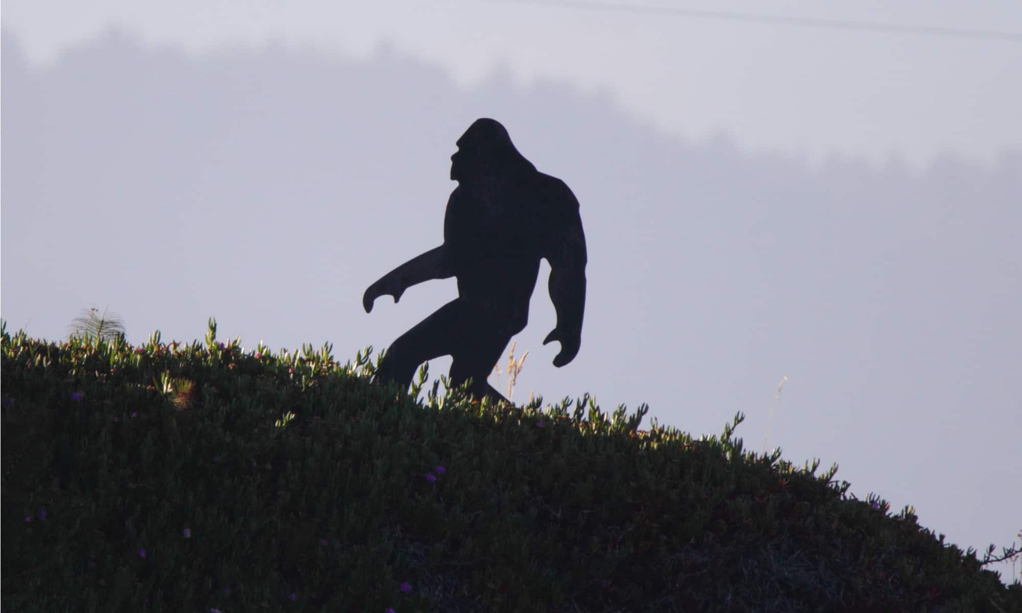 The Washington County That Made Killing Bigfoot a Crime