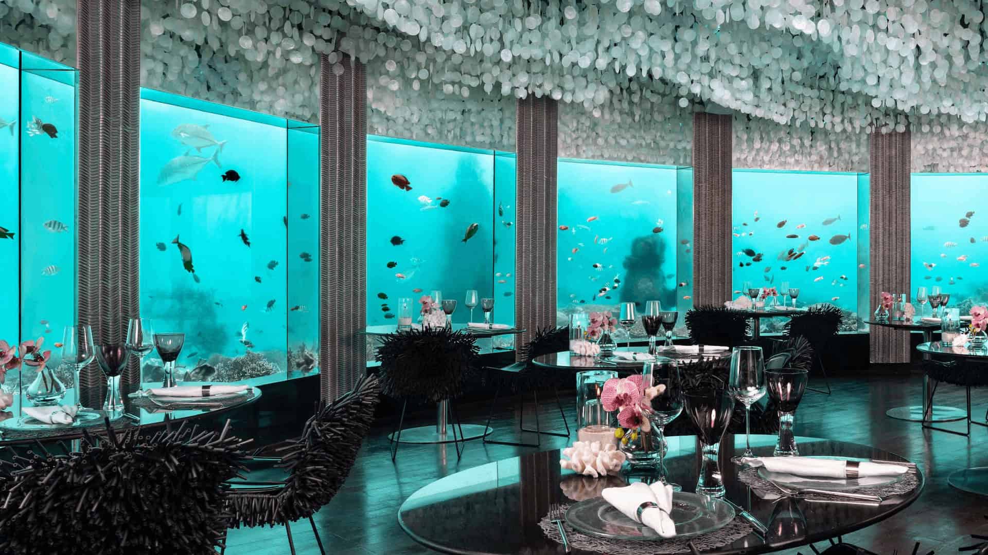 13 Restaurants With Unique Underwater Views