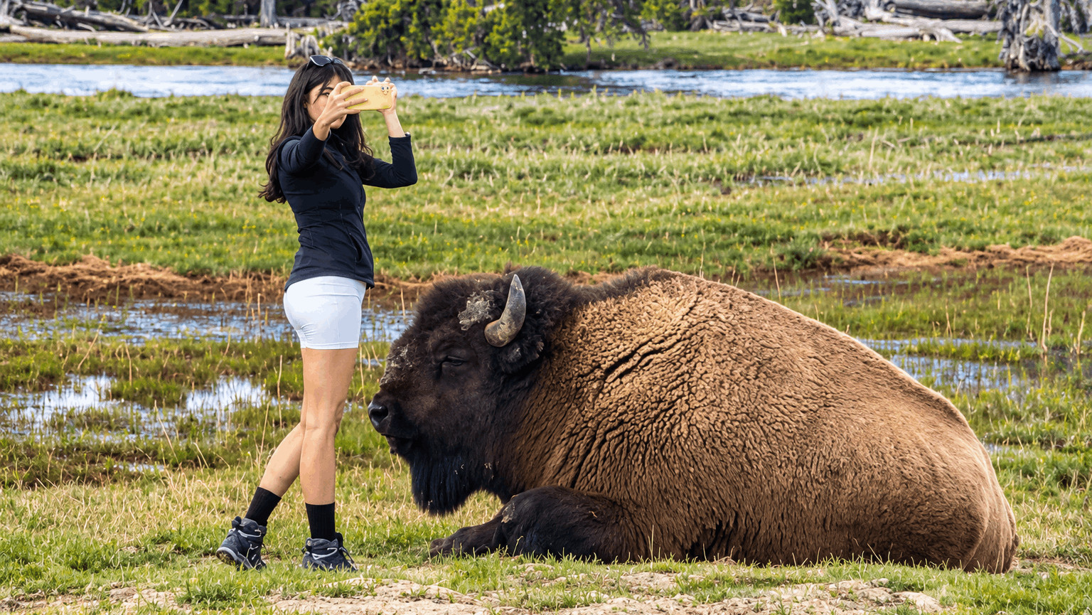16 Tourist Habits That Are Damaging America’s National Parks